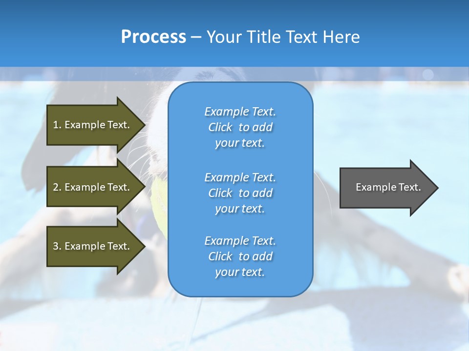 A Black And White Dog Holding A Tennis Ball In Its Mouth PowerPoint Template