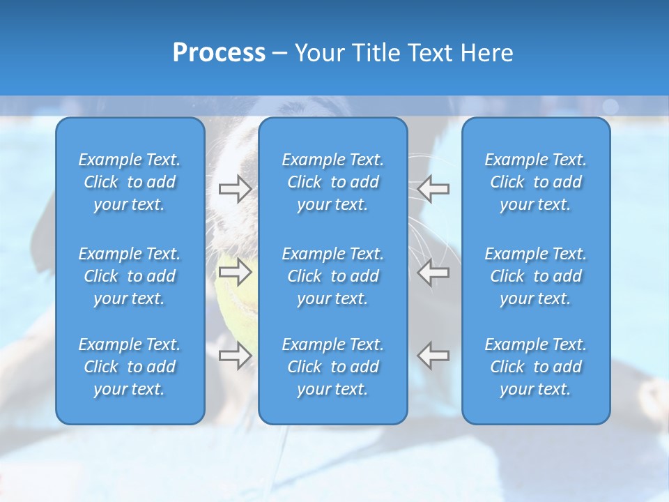 A Black And White Dog Holding A Tennis Ball In Its Mouth PowerPoint Template