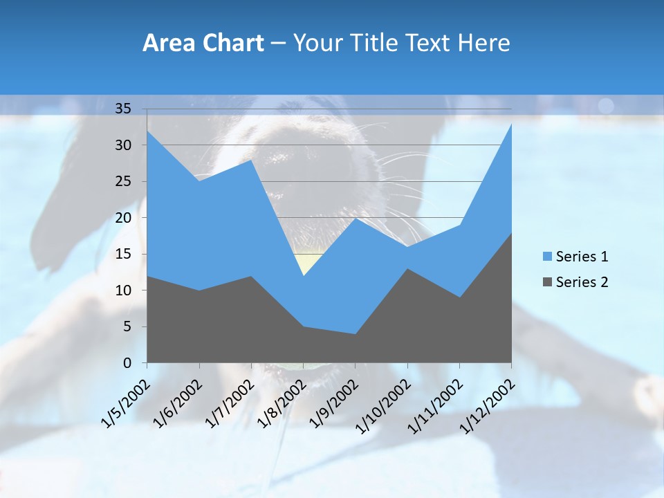A Black And White Dog Holding A Tennis Ball In Its Mouth PowerPoint Template