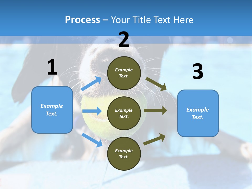 A Black And White Dog Holding A Tennis Ball In Its Mouth PowerPoint Template