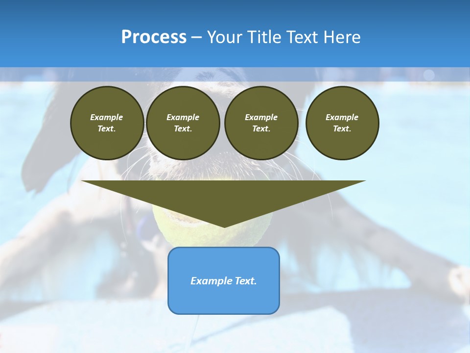 A Black And White Dog Holding A Tennis Ball In Its Mouth PowerPoint Template