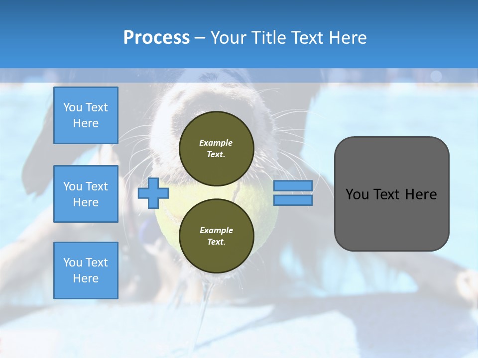 A Black And White Dog Holding A Tennis Ball In Its Mouth PowerPoint Template