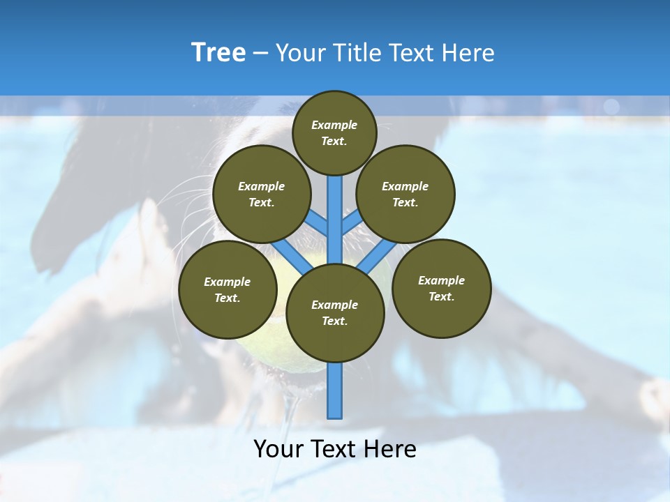 A Black And White Dog Holding A Tennis Ball In Its Mouth PowerPoint Template