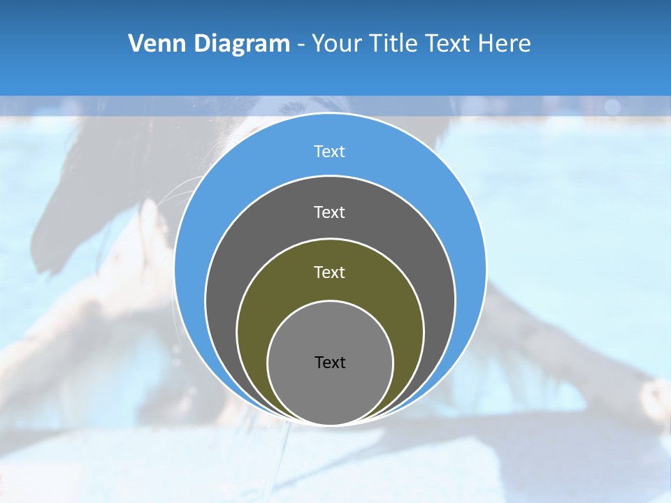 A Black And White Dog Holding A Tennis Ball In Its Mouth PowerPoint Template