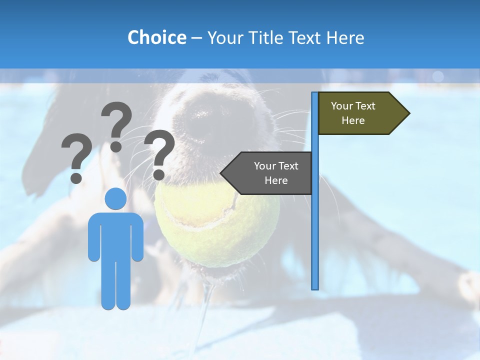 A Black And White Dog Holding A Tennis Ball In Its Mouth PowerPoint Template