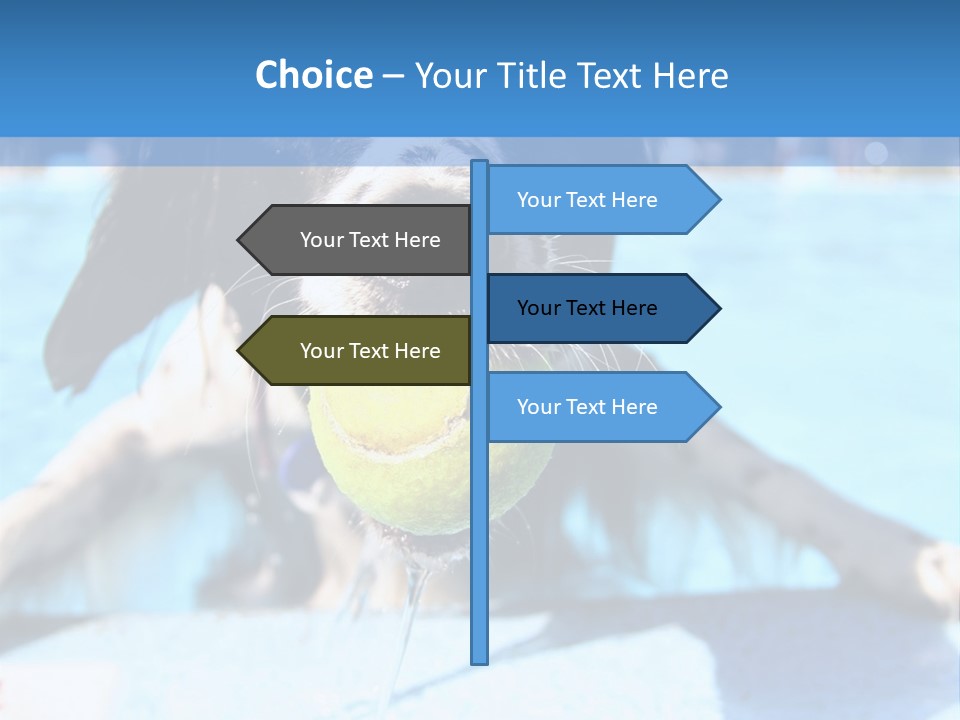 A Black And White Dog Holding A Tennis Ball In Its Mouth PowerPoint Template