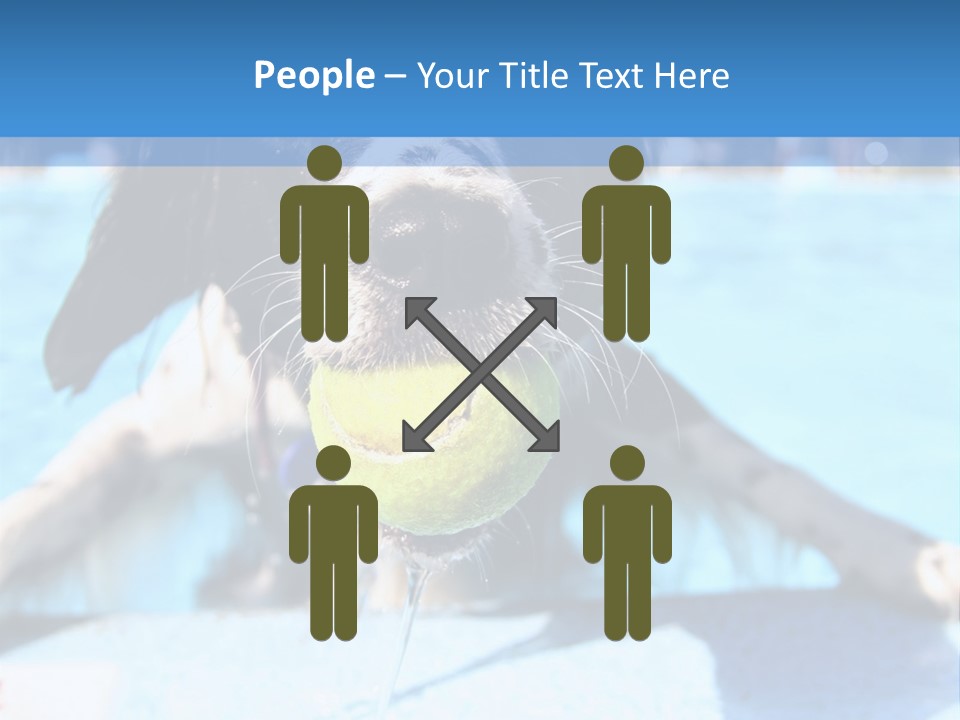 A Black And White Dog Holding A Tennis Ball In Its Mouth PowerPoint Template