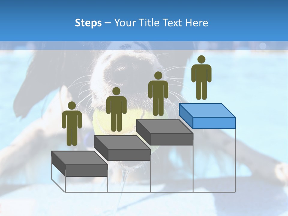 A Black And White Dog Holding A Tennis Ball In Its Mouth PowerPoint Template