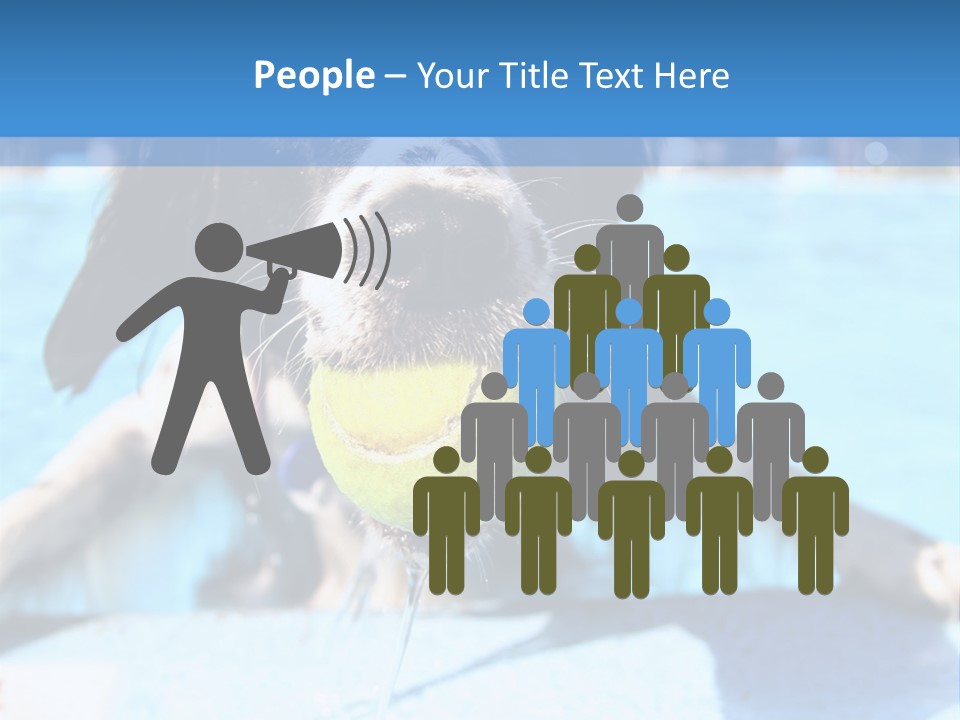 A Black And White Dog Holding A Tennis Ball In Its Mouth PowerPoint Template