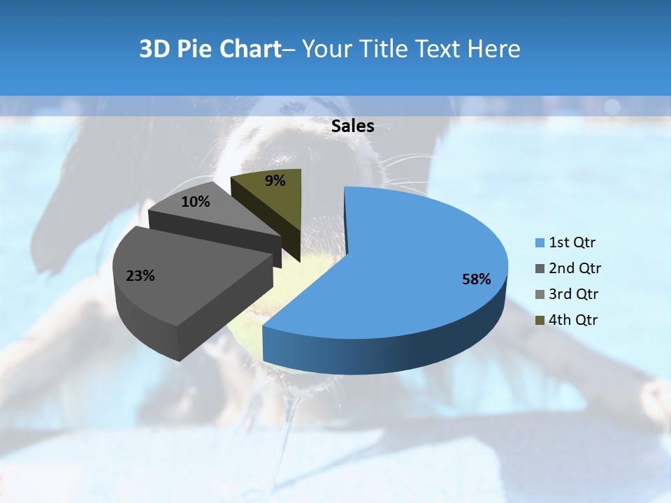 A Black And White Dog Holding A Tennis Ball In Its Mouth PowerPoint Template