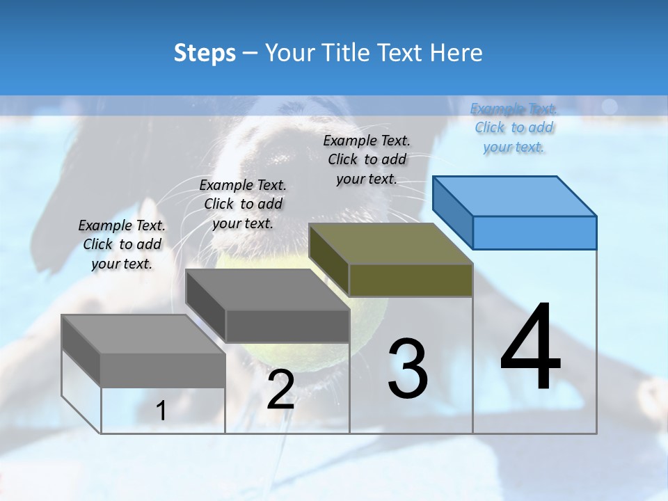 A Black And White Dog Holding A Tennis Ball In Its Mouth PowerPoint Template