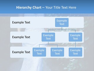 A Woman In A White Dress Is Walking Down A Path PowerPoint Template