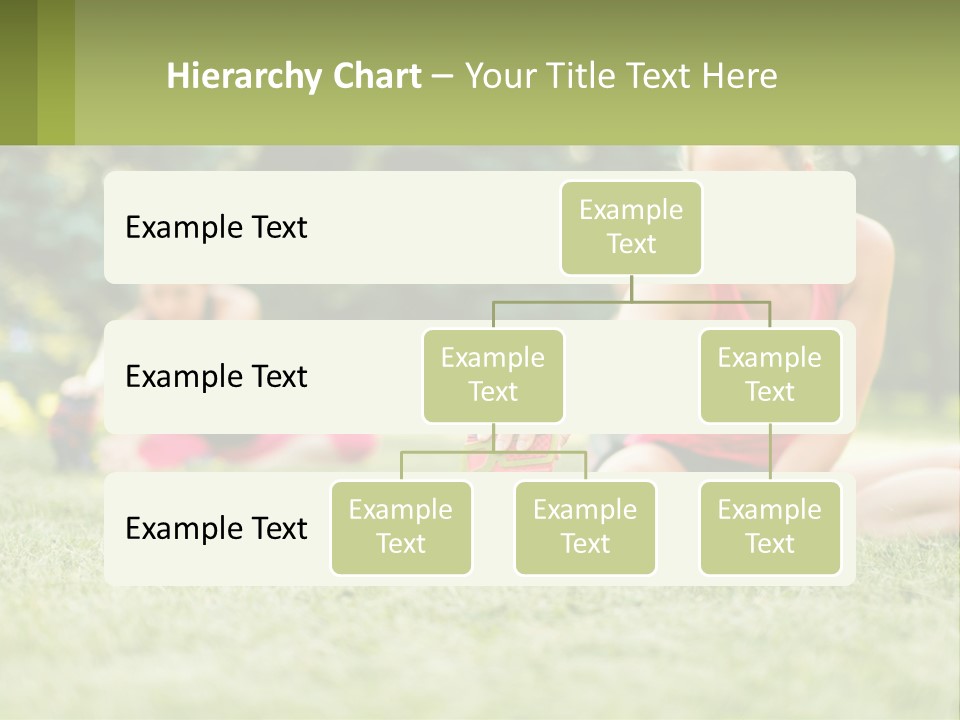 A Group Of Women Doing Stretching Exercises In A Park PowerPoint Template
