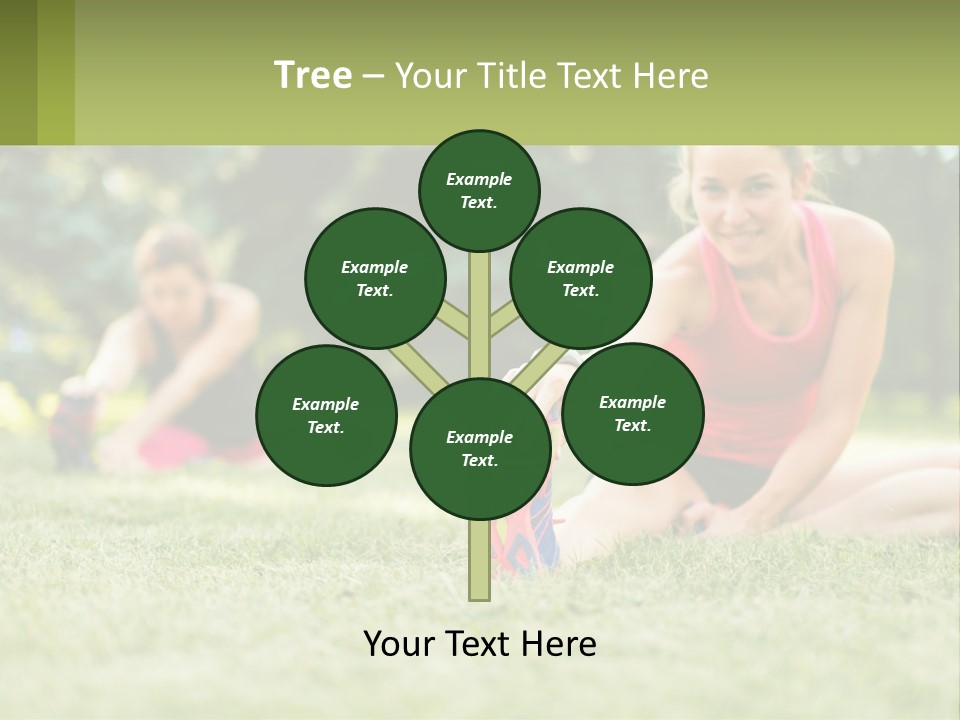 A Group Of Women Doing Stretching Exercises In A Park PowerPoint Template