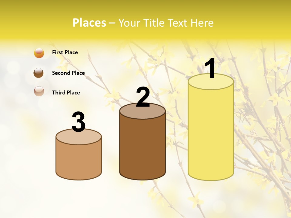 A Branch With Yellow Flowers On A Sunny Day PowerPoint Template