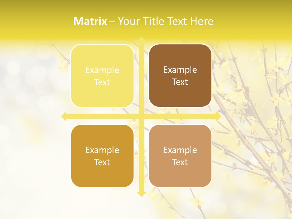 A Branch With Yellow Flowers On A Sunny Day PowerPoint Template