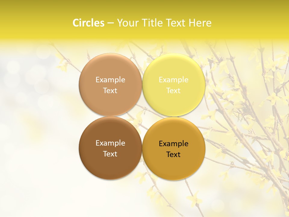 A Branch With Yellow Flowers On A Sunny Day PowerPoint Template