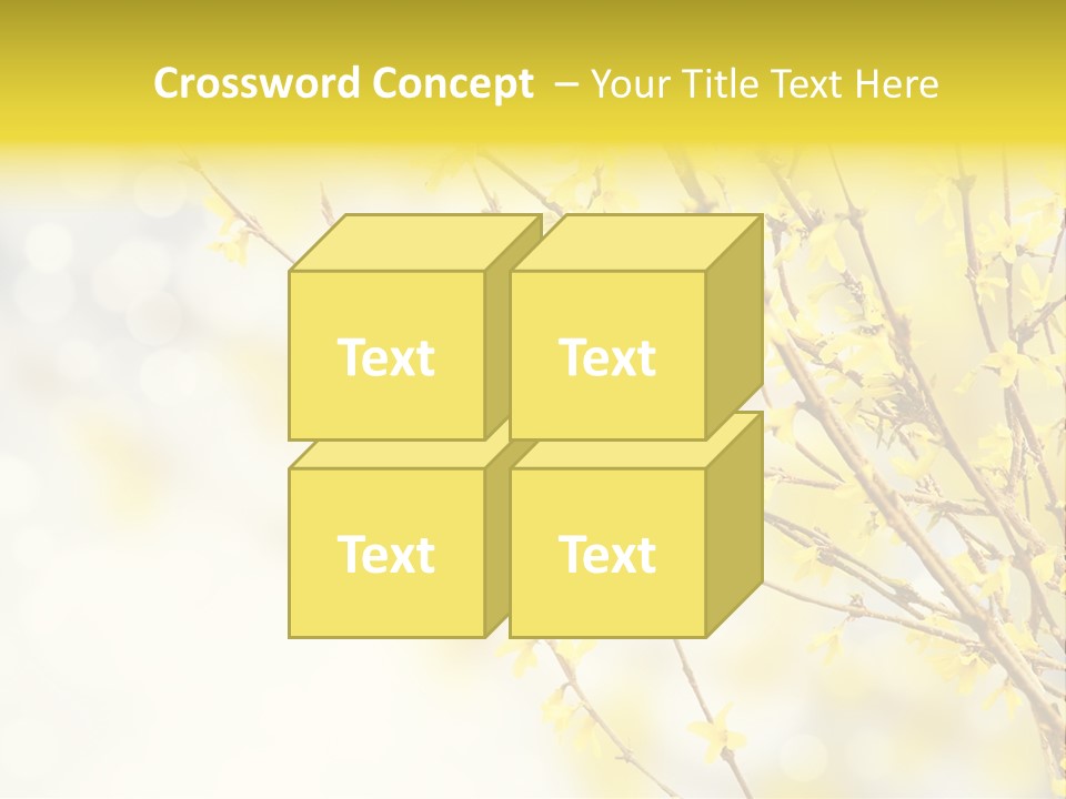 A Branch With Yellow Flowers On A Sunny Day PowerPoint Template