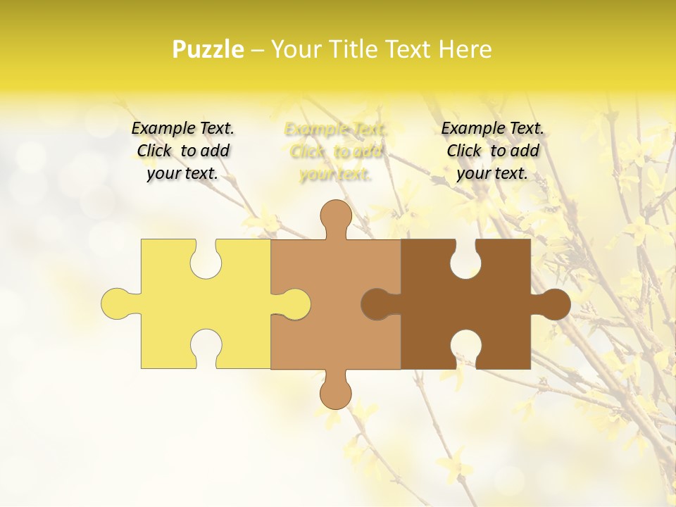 A Branch With Yellow Flowers On A Sunny Day PowerPoint Template