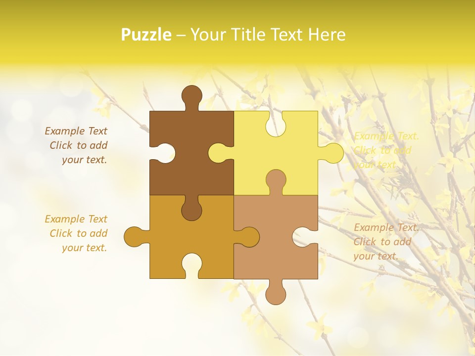 A Branch With Yellow Flowers On A Sunny Day PowerPoint Template