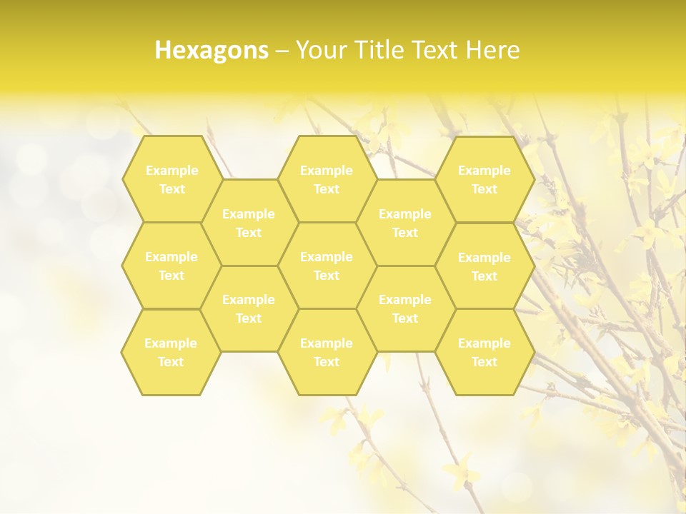 A Branch With Yellow Flowers On A Sunny Day PowerPoint Template