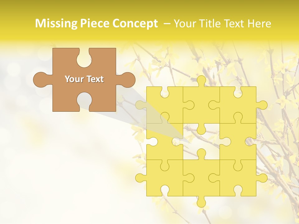 A Branch With Yellow Flowers On A Sunny Day PowerPoint Template