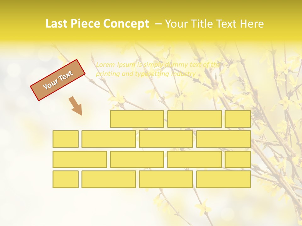 A Branch With Yellow Flowers On A Sunny Day PowerPoint Template