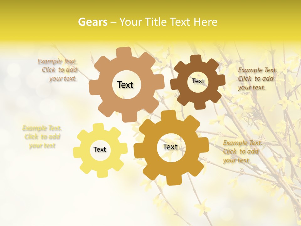 A Branch With Yellow Flowers On A Sunny Day PowerPoint Template