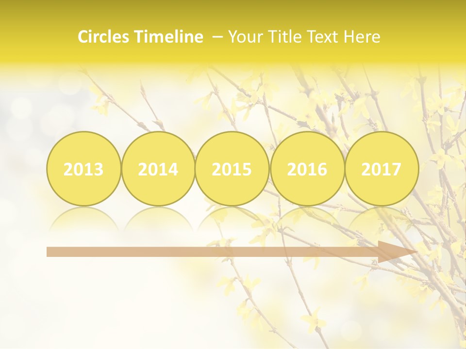 A Branch With Yellow Flowers On A Sunny Day PowerPoint Template