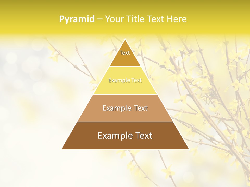 A Branch With Yellow Flowers On A Sunny Day PowerPoint Template