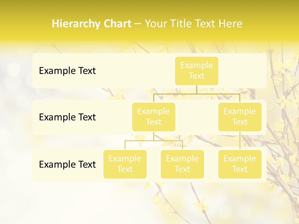 A Branch With Yellow Flowers On A Sunny Day PowerPoint Template
