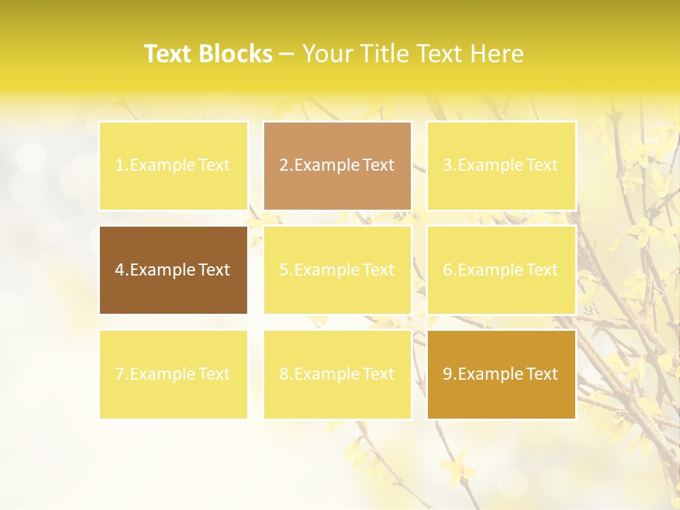 A Branch With Yellow Flowers On A Sunny Day PowerPoint Template