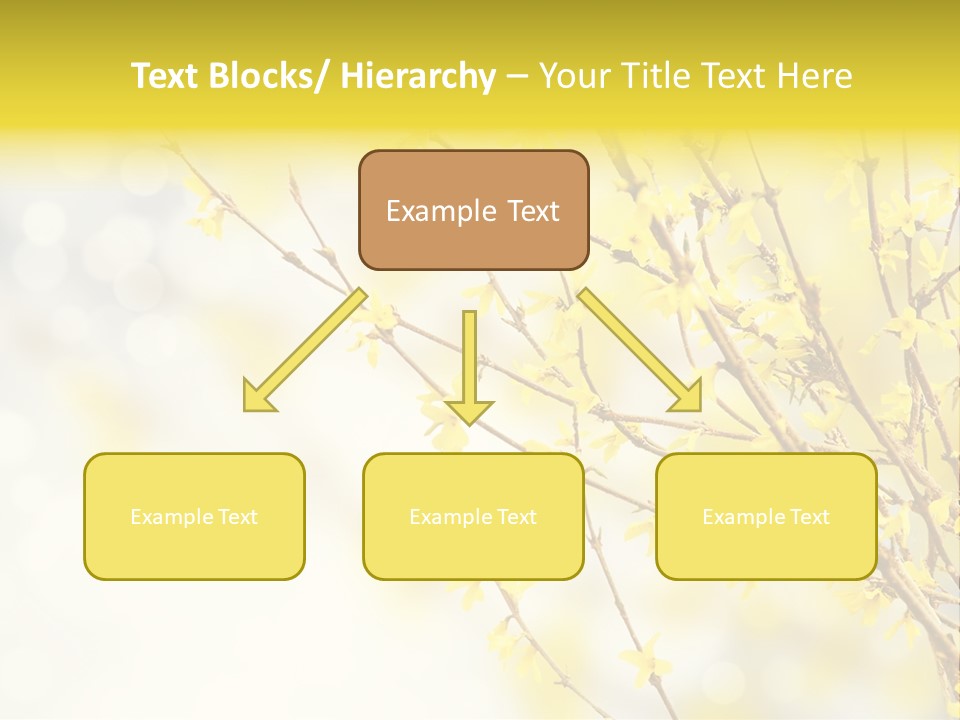 A Branch With Yellow Flowers On A Sunny Day PowerPoint Template