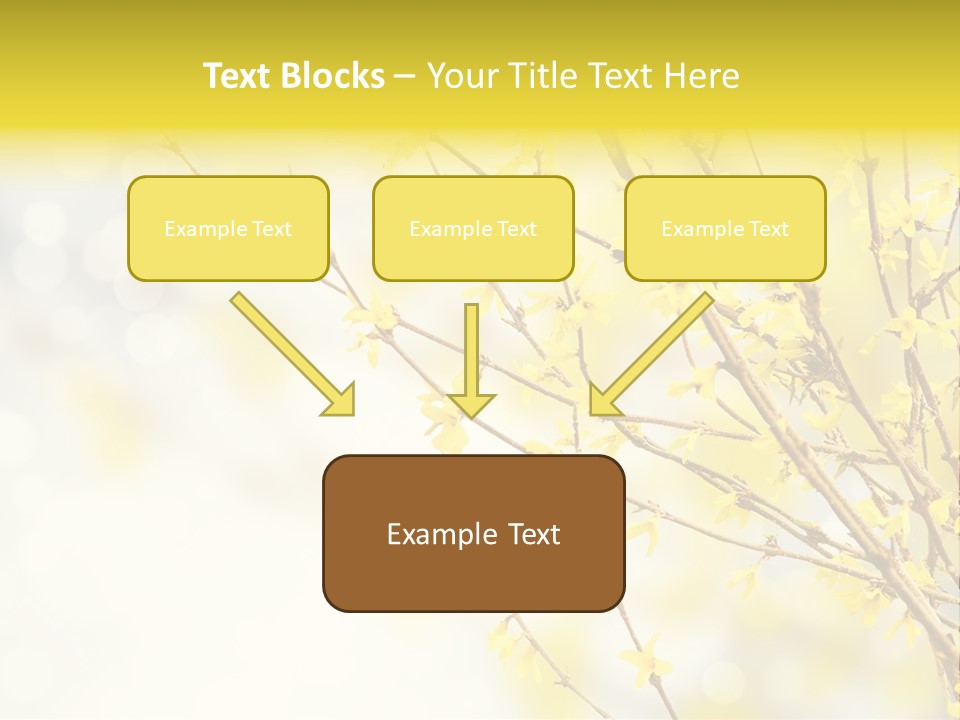 A Branch With Yellow Flowers On A Sunny Day PowerPoint Template