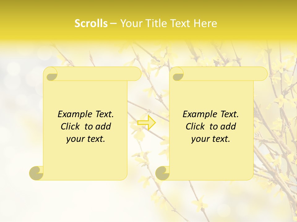 A Branch With Yellow Flowers On A Sunny Day PowerPoint Template