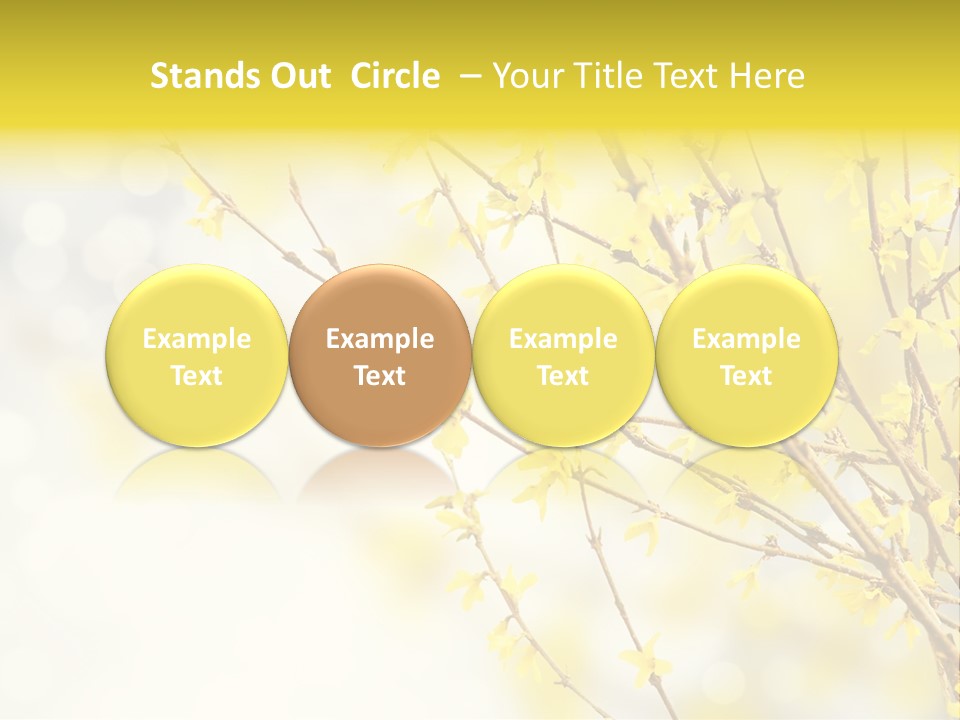 A Branch With Yellow Flowers On A Sunny Day PowerPoint Template