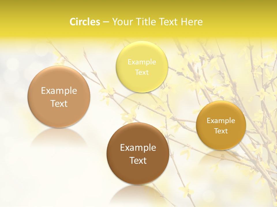 A Branch With Yellow Flowers On A Sunny Day PowerPoint Template