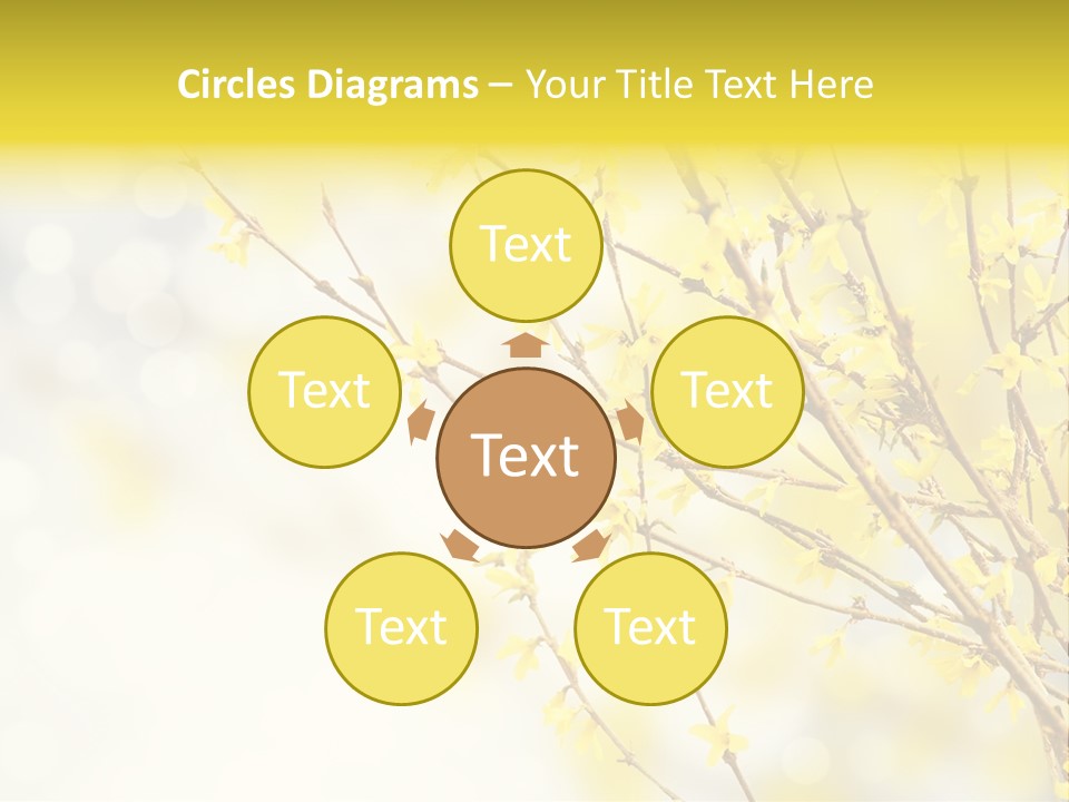 A Branch With Yellow Flowers On A Sunny Day PowerPoint Template