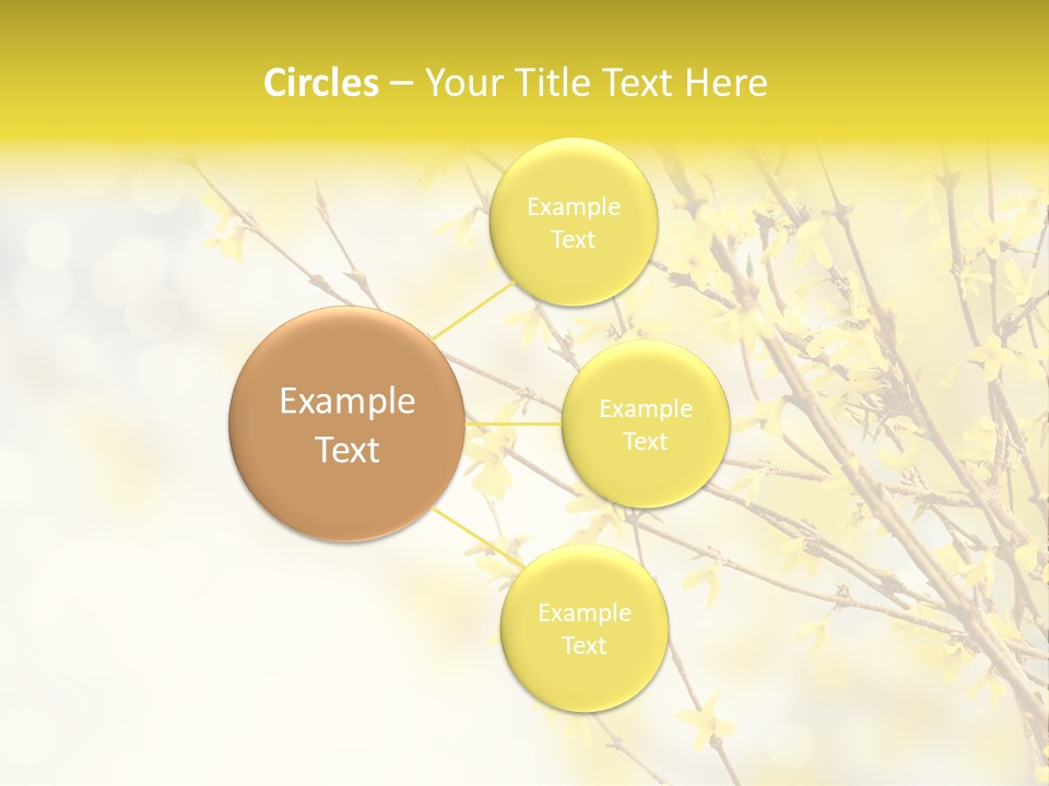 A Branch With Yellow Flowers On A Sunny Day PowerPoint Template