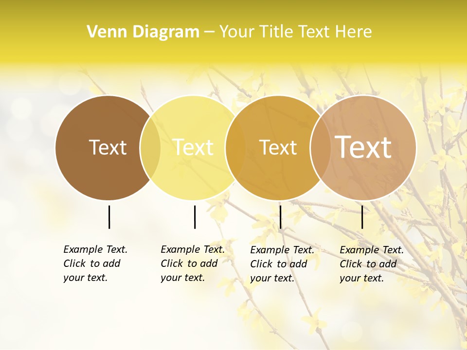 A Branch With Yellow Flowers On A Sunny Day PowerPoint Template