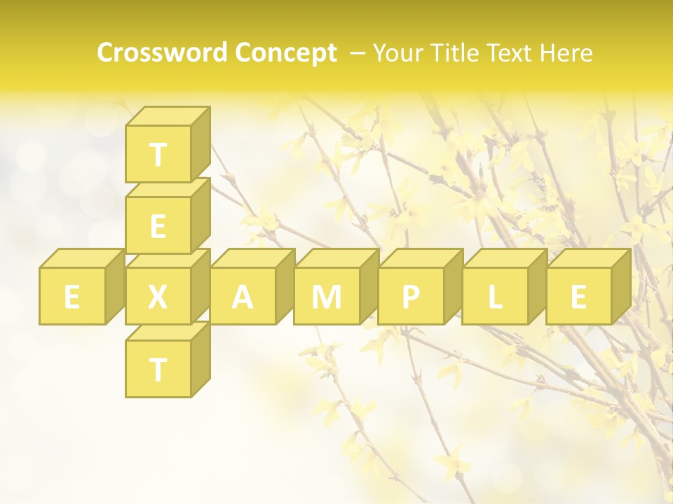 A Branch With Yellow Flowers On A Sunny Day PowerPoint Template