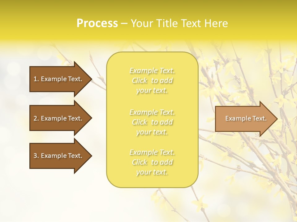 A Branch With Yellow Flowers On A Sunny Day PowerPoint Template