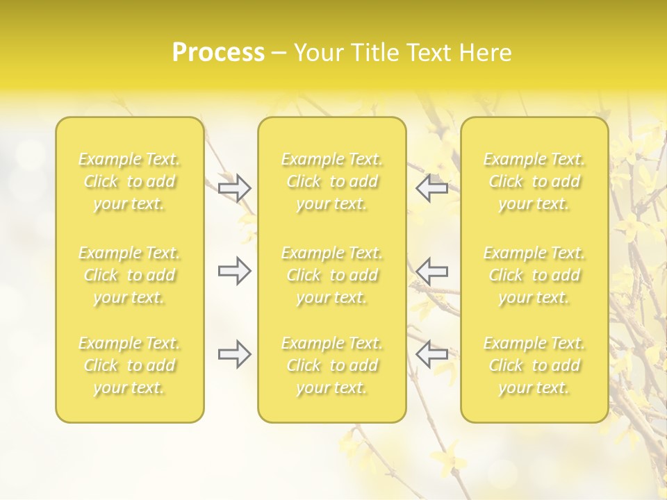 A Branch With Yellow Flowers On A Sunny Day PowerPoint Template