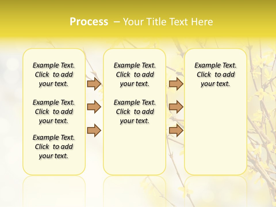 A Branch With Yellow Flowers On A Sunny Day PowerPoint Template