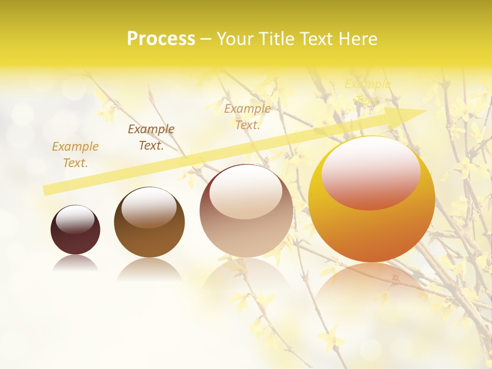 A Branch With Yellow Flowers On A Sunny Day PowerPoint Template