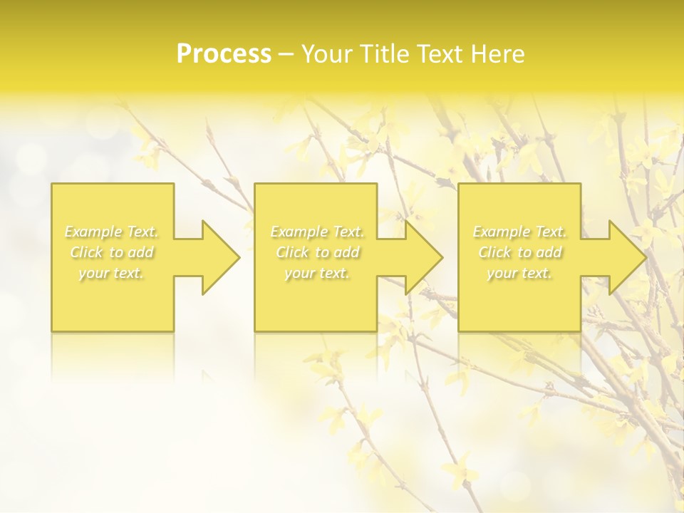 A Branch With Yellow Flowers On A Sunny Day PowerPoint Template