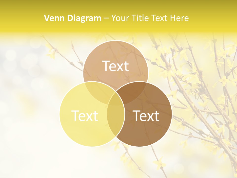 A Branch With Yellow Flowers On A Sunny Day PowerPoint Template