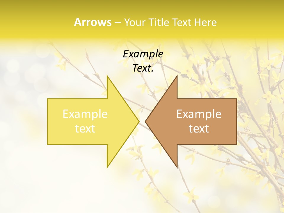 A Branch With Yellow Flowers On A Sunny Day PowerPoint Template
