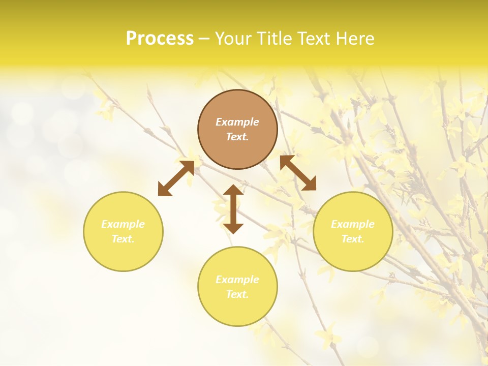 A Branch With Yellow Flowers On A Sunny Day PowerPoint Template
