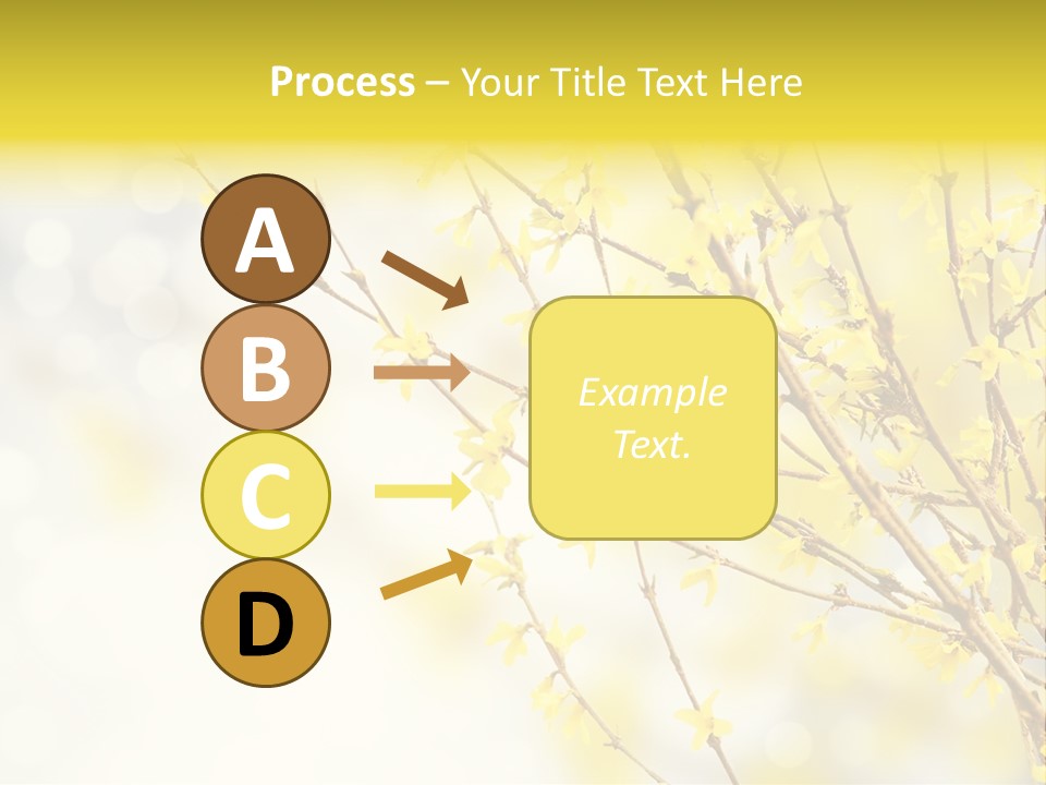 A Branch With Yellow Flowers On A Sunny Day PowerPoint Template